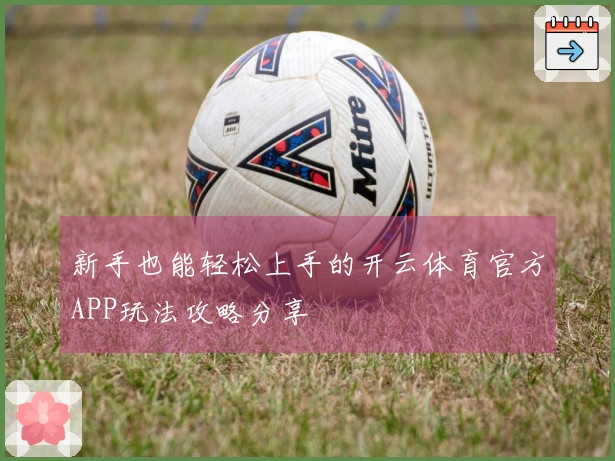 新手也能轻松上手的开云体育官方APP玩法攻略分享