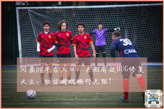 问鼎pg平台入口，亲测有效BUG修复大法，助你游戏畅行无阻！
